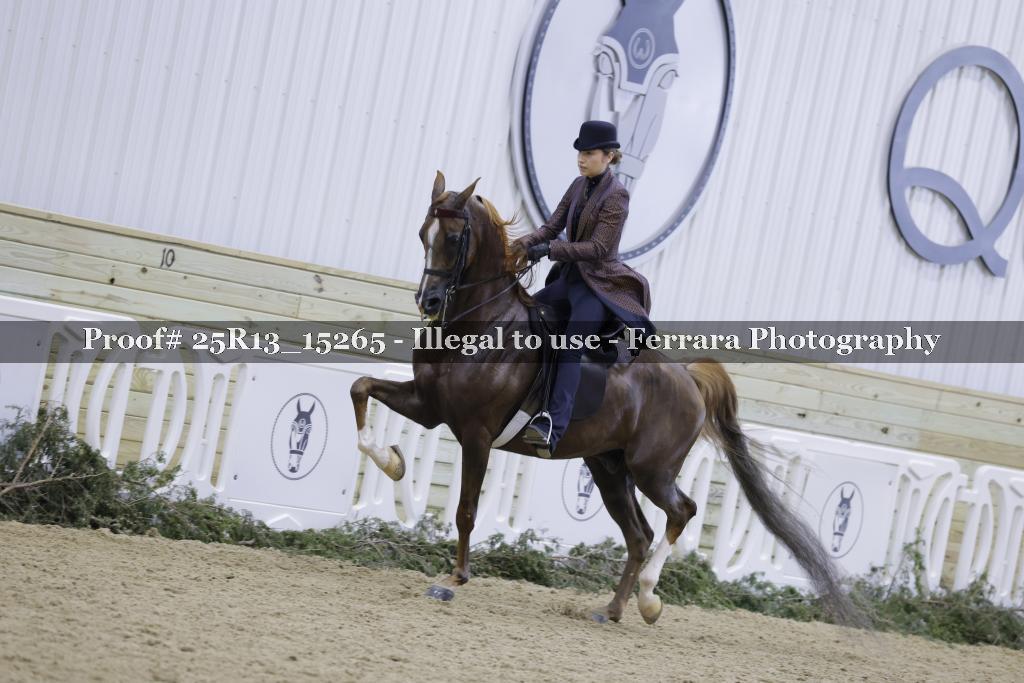 Proof Number 25R13_15265