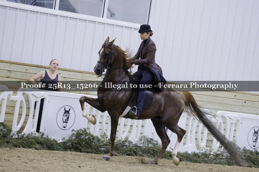 Proof Number 25R13_15266