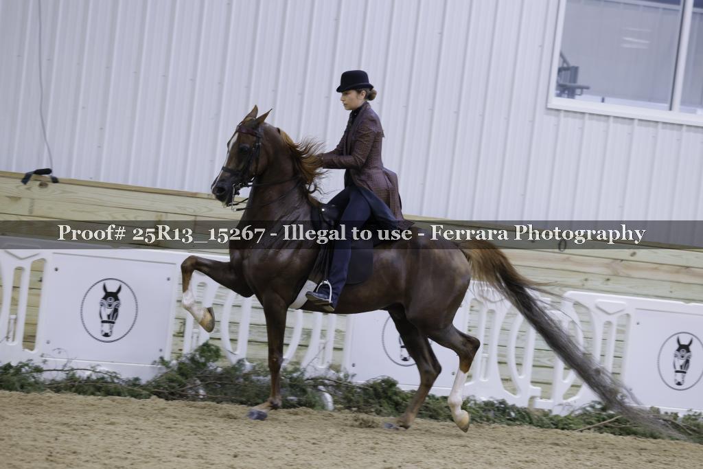Proof Number 25R13_15267