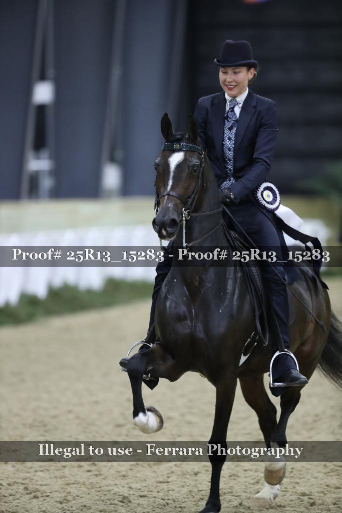 Proof Number 25R13_15283