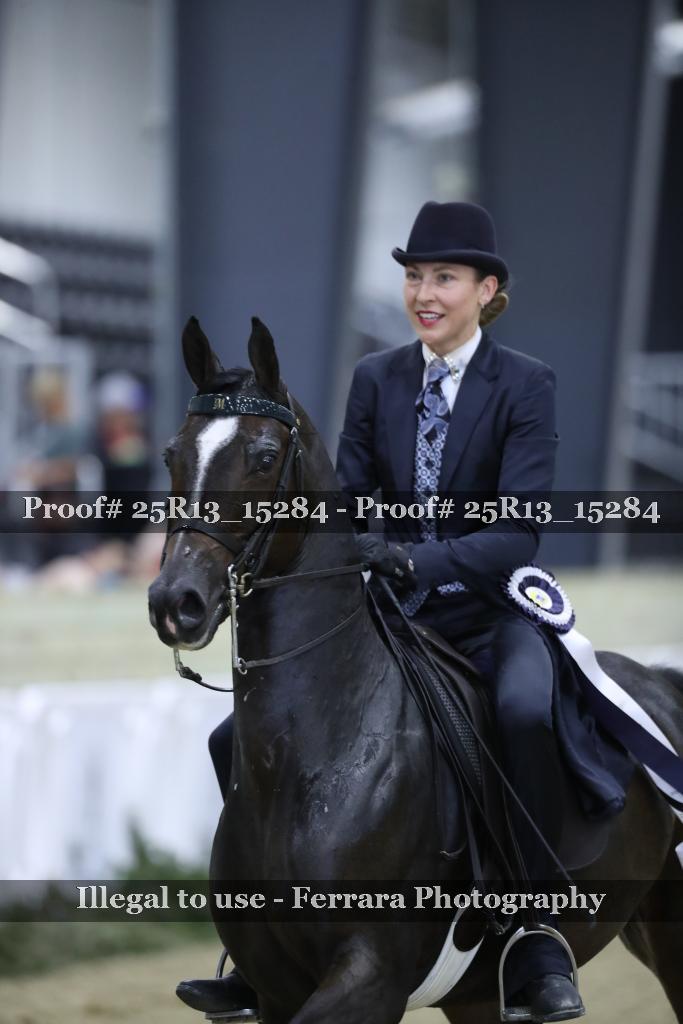 Proof Number 25R13_15284