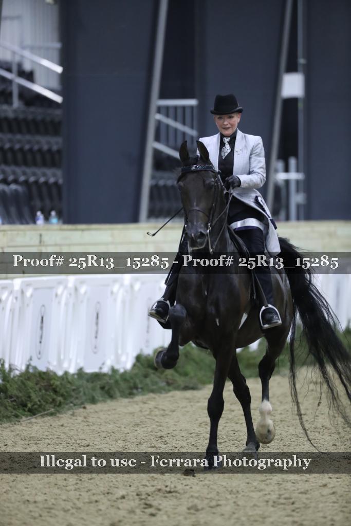 Proof Number 25R13_15285