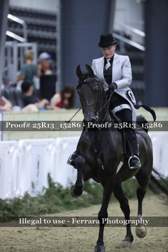 Proof Number 25R13_15286