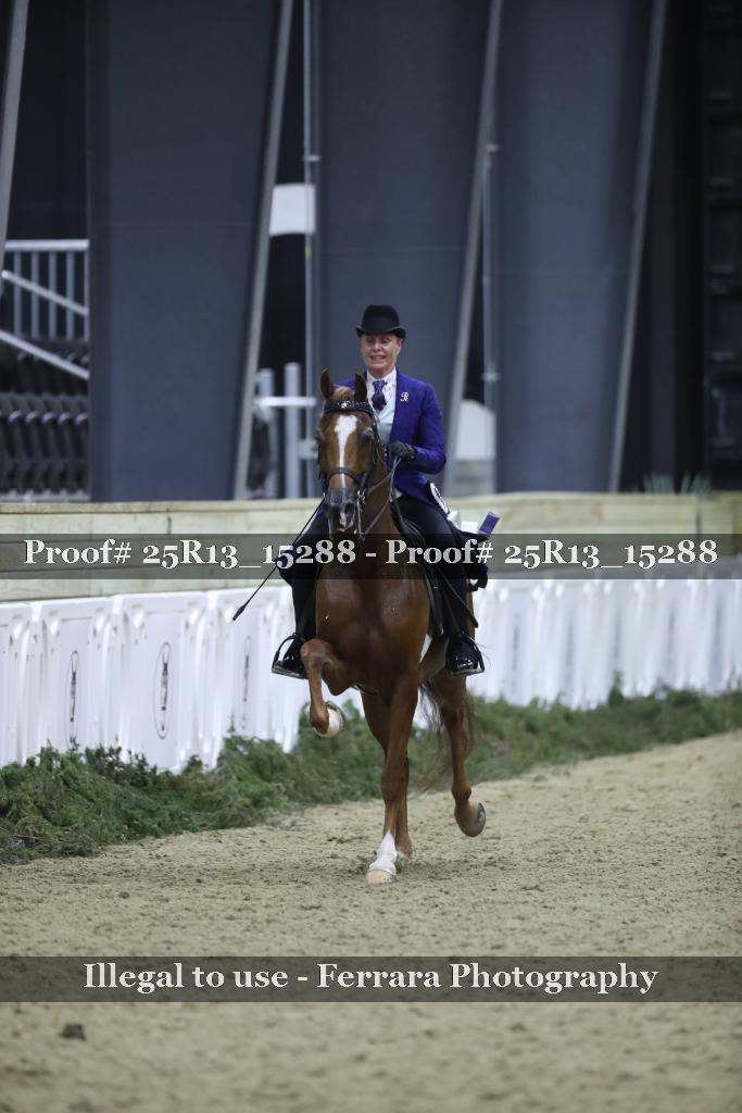 Proof Number 25R13_15288