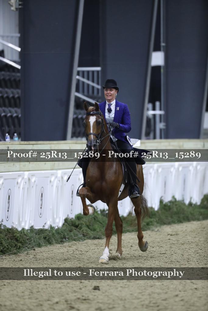 Proof Number 25R13_15289