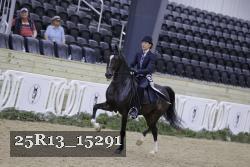 25R13_15291 thumbnail