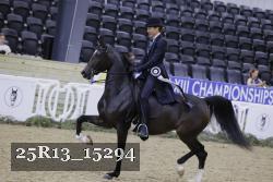 25R13_15294 thumbnail