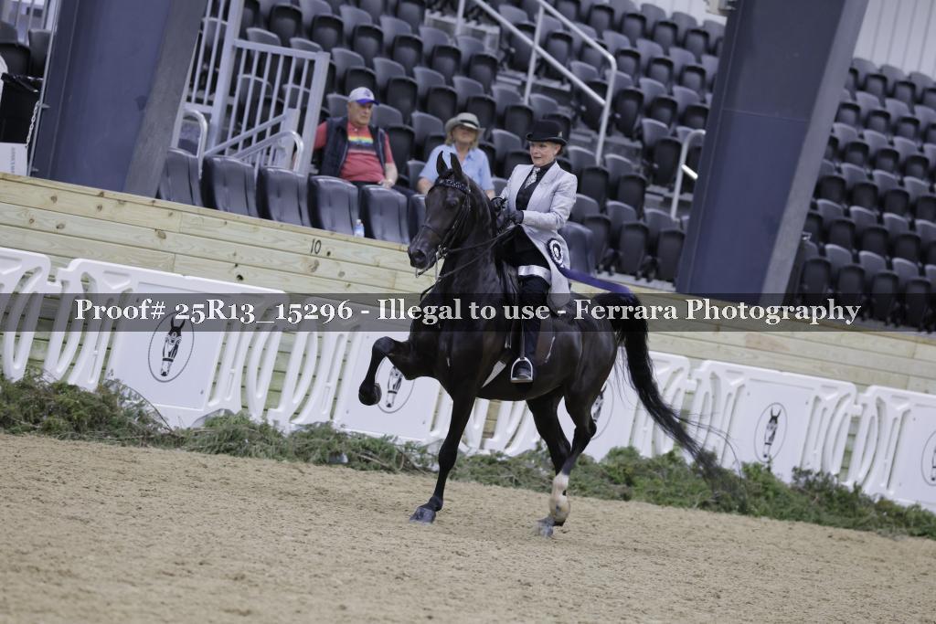 Proof Number 25R13_15296