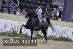 25R13_15299 thumbnail