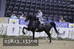 25R13_15300 thumbnail
