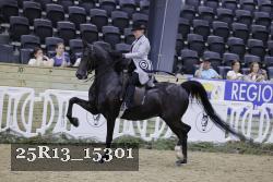 25R13_15301 thumbnail