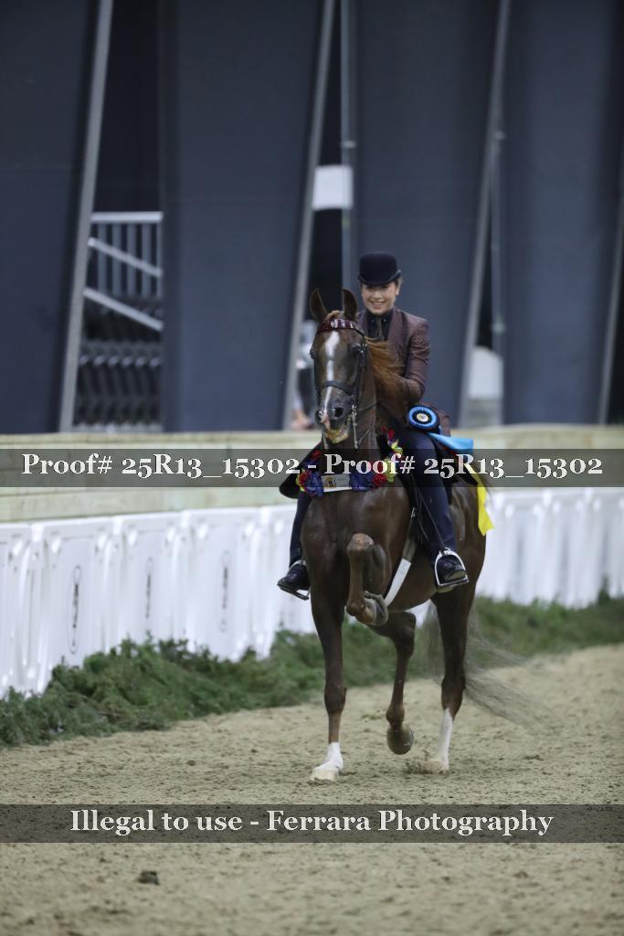 Proof Number 25R13_15302