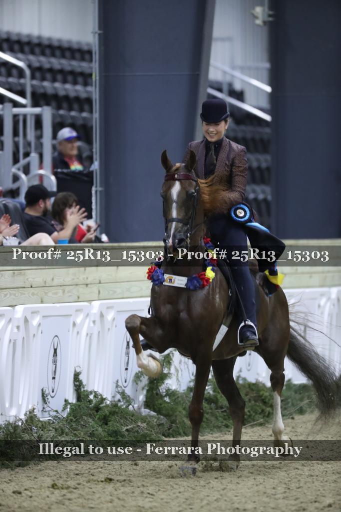 Proof Number 25R13_15303