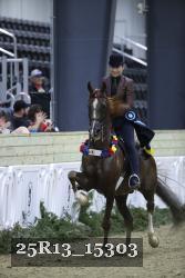 25R13_15303 thumbnail
