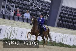 25R13_15305 thumbnail