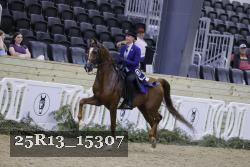 25R13_15307 thumbnail