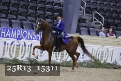 25R13_15311 thumbnail