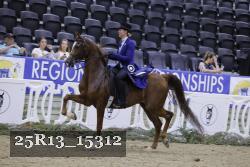 25R13_15312 thumbnail