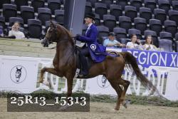 25R13_15313 thumbnail