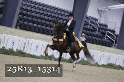 25R13_15314 thumbnail