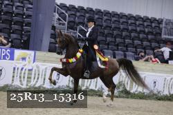25R13_15316 thumbnail
