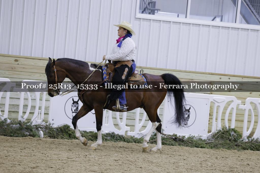Proof Number 25R13_15333