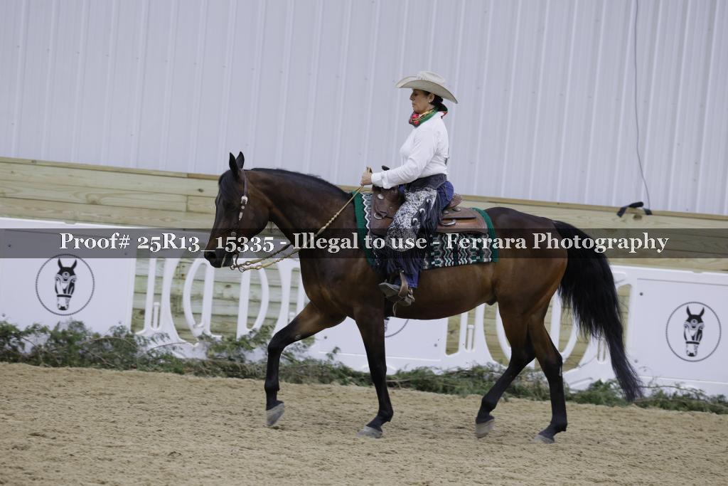 Proof Number 25R13_15335