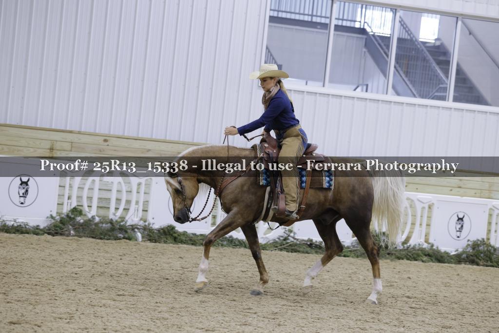 Proof Number 25R13_15338