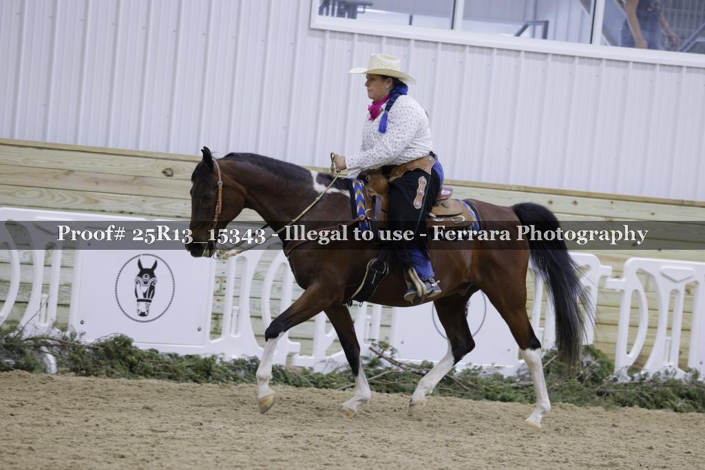 Proof Number 25R13_15343