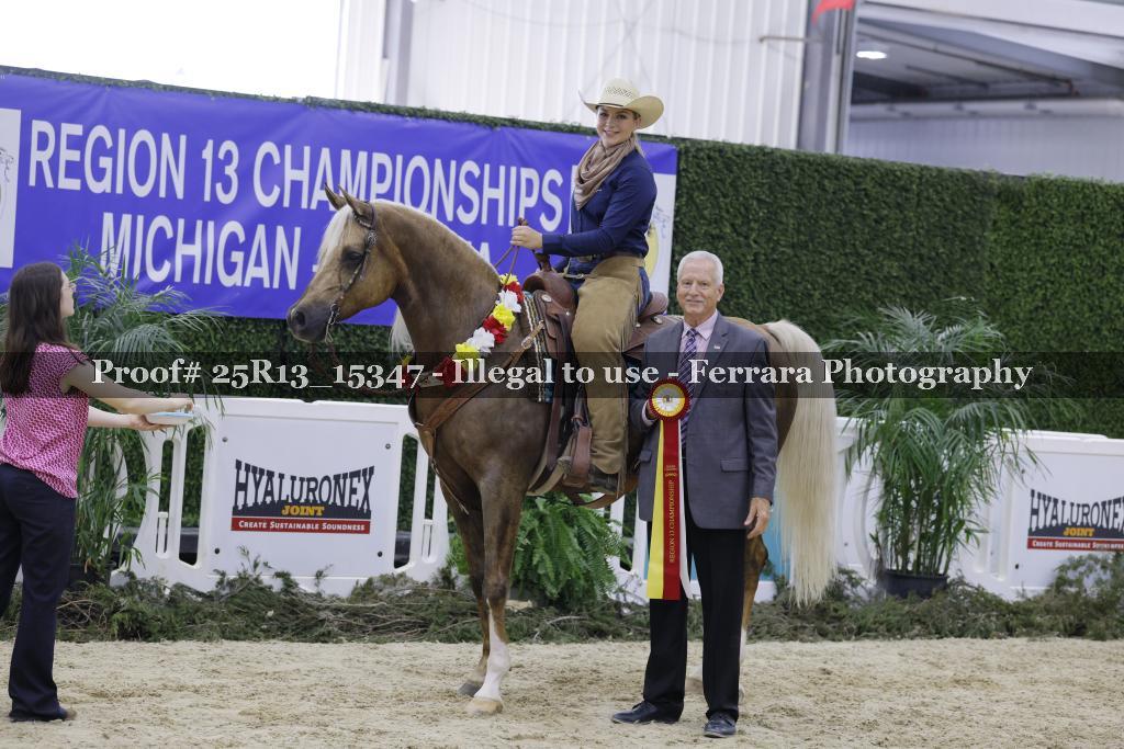 Proof Number 25R13_15347