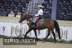 25R13_15374 thumbnail