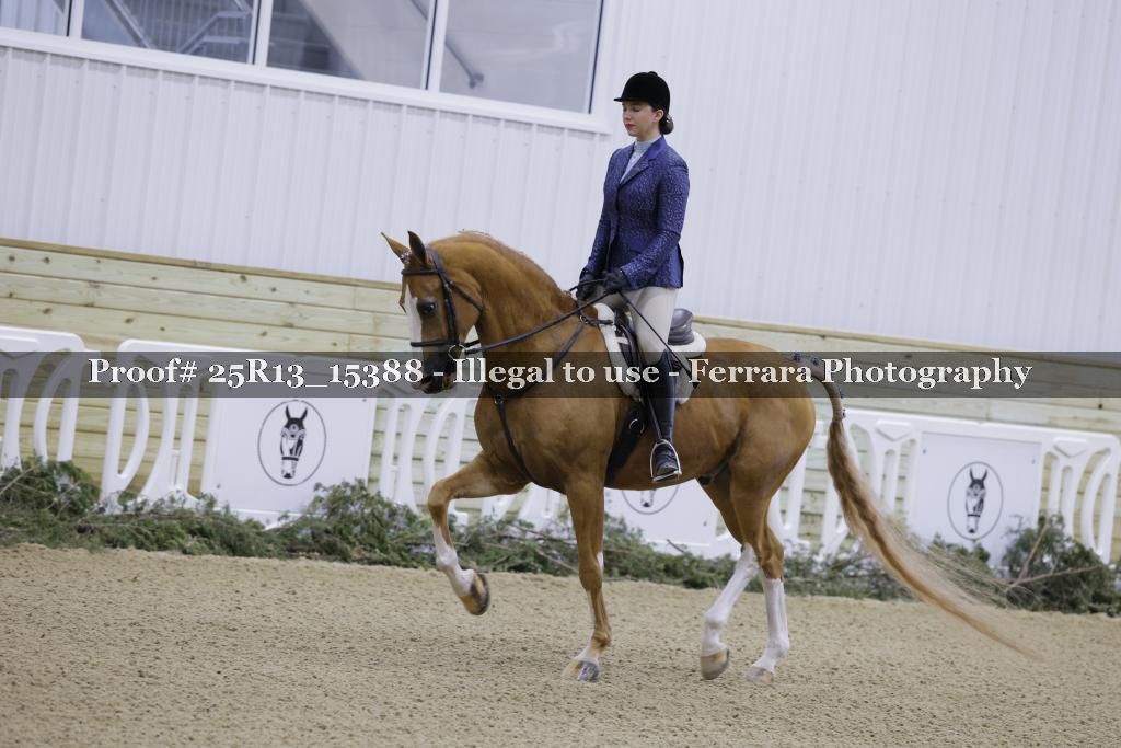 Proof Number 25R13_15388