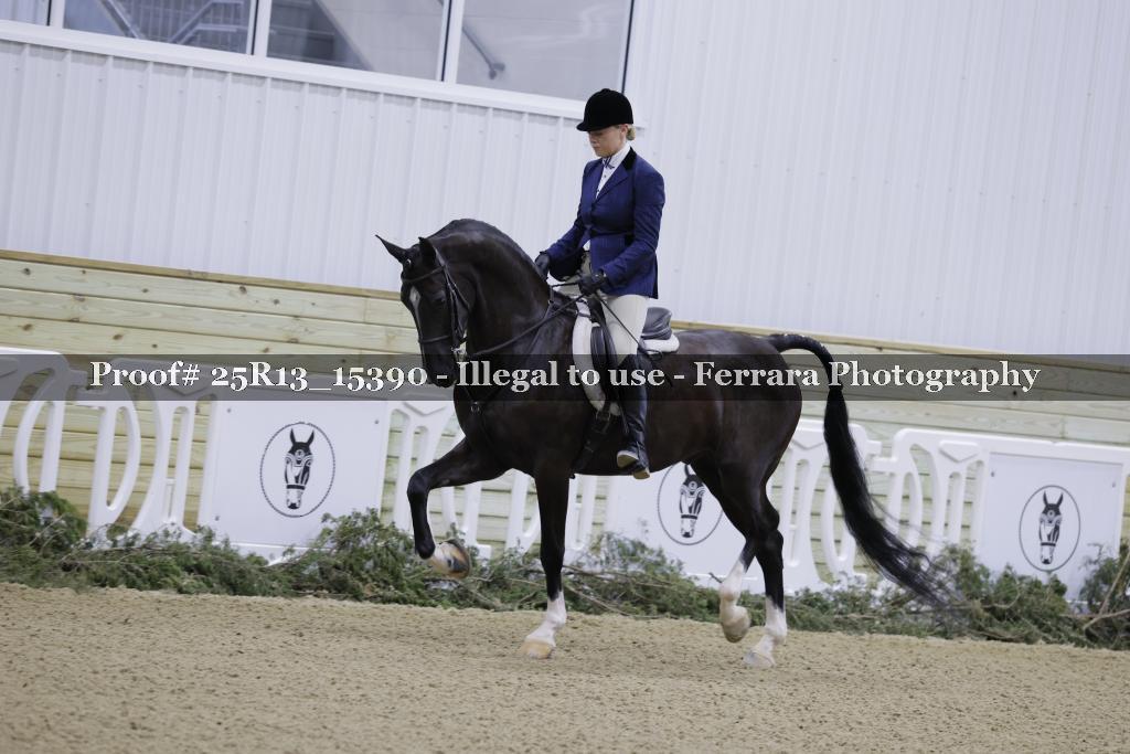 Proof Number 25R13_15390