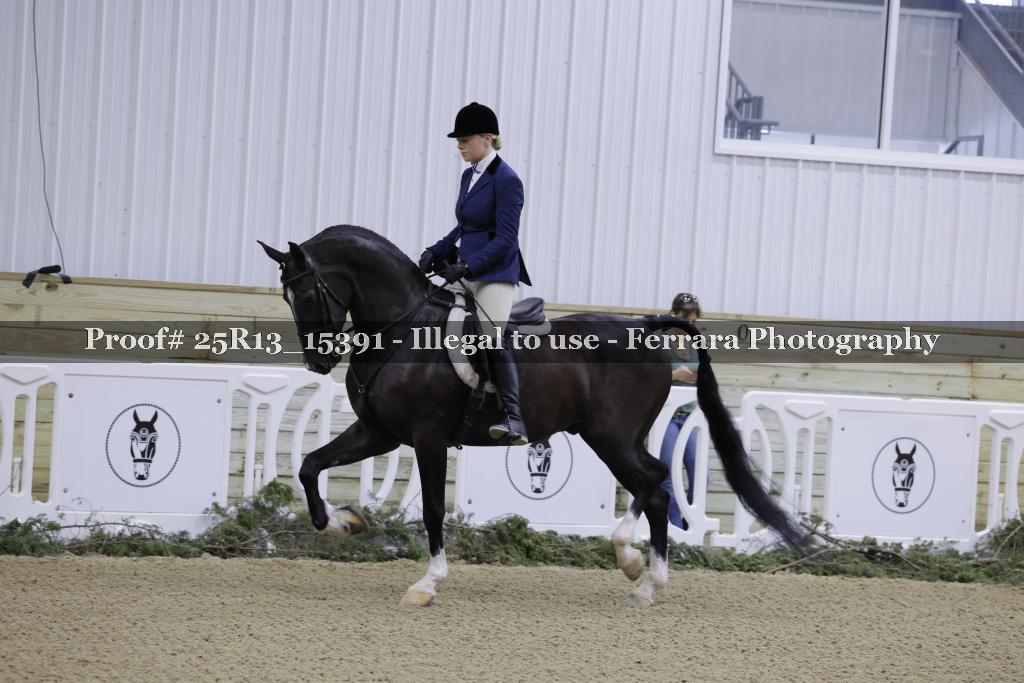 Proof Number 25R13_15391