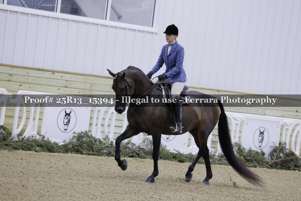 Proof Number 25R13_15394