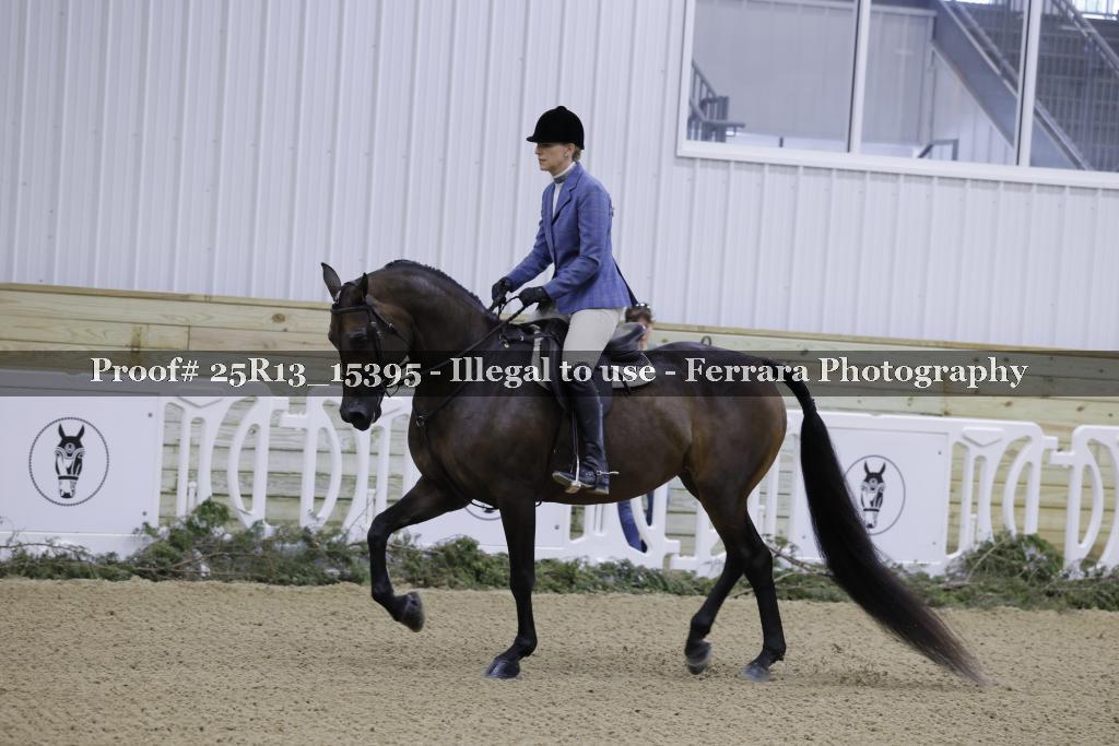 Proof Number 25R13_15395