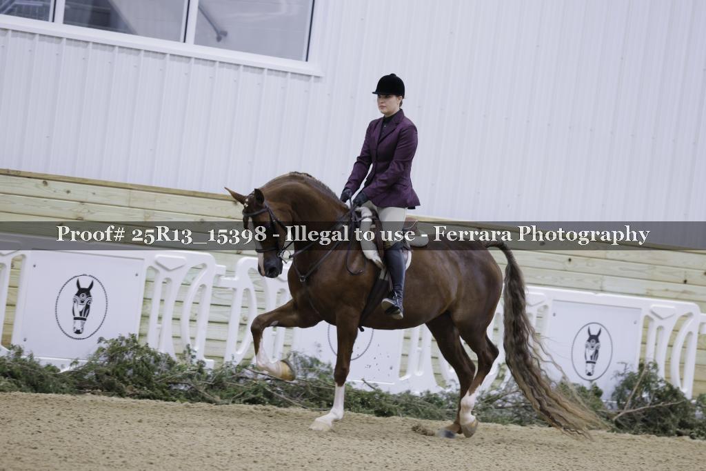 Proof Number 25R13_15398