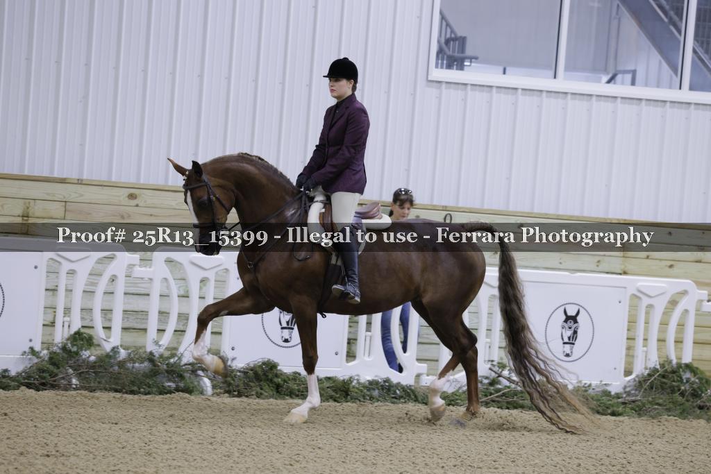 Proof Number 25R13_15399