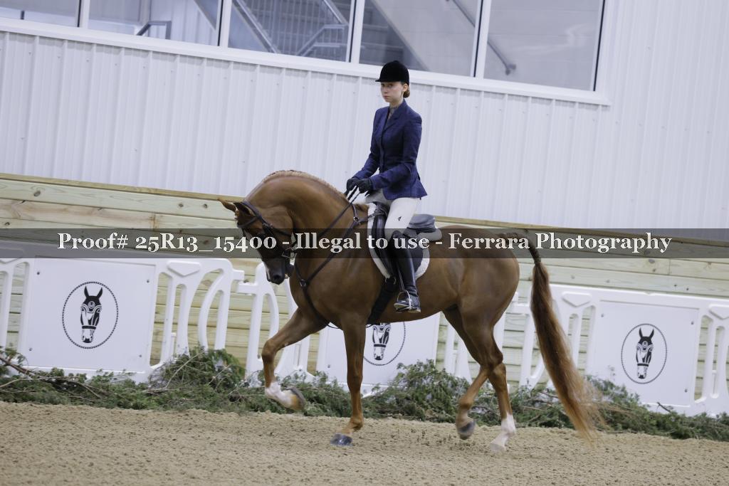 Proof Number 25R13_15400