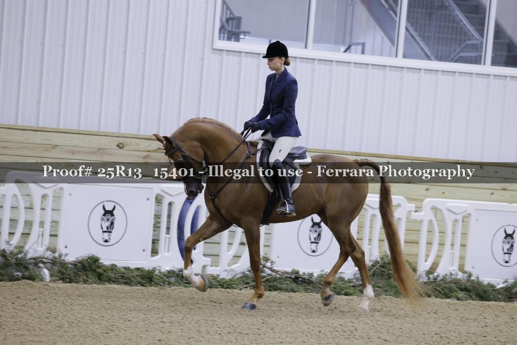 Proof Number 25R13_15401
