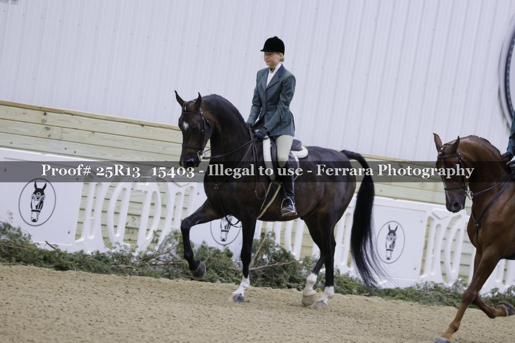 Proof Number 25R13_15403