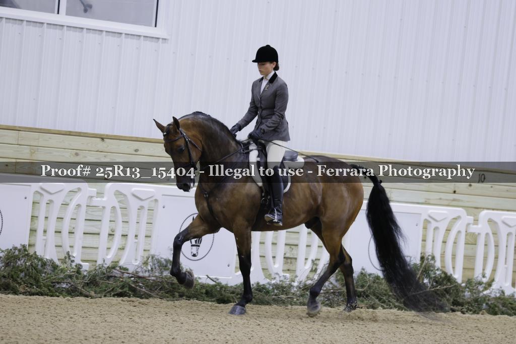Proof Number 25R13_15404