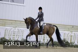 25R13_15404 thumbnail