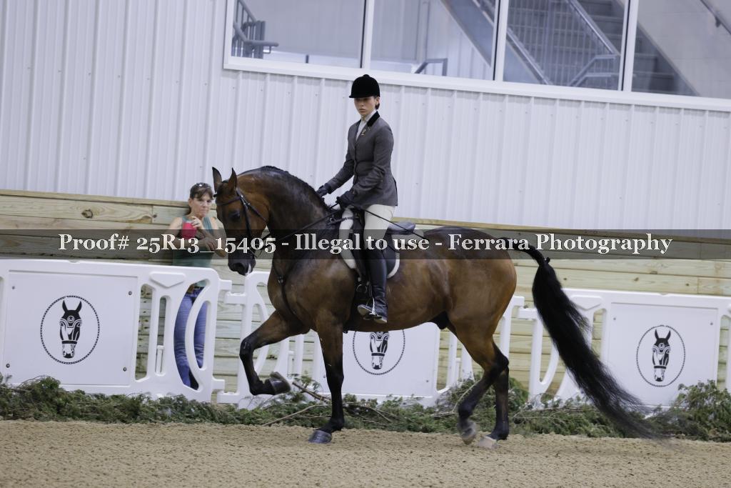 Proof Number 25R13_15405