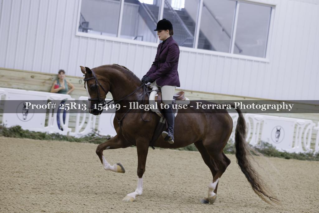 Proof Number 25R13_15409