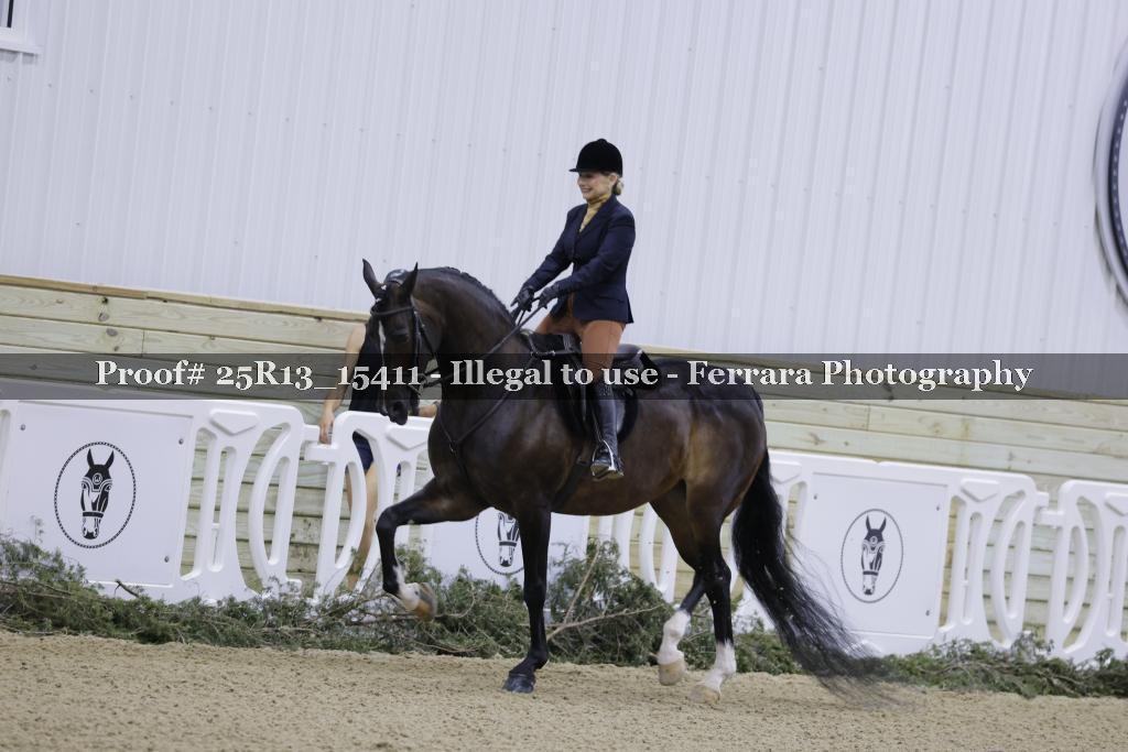 Proof Number 25R13_15411