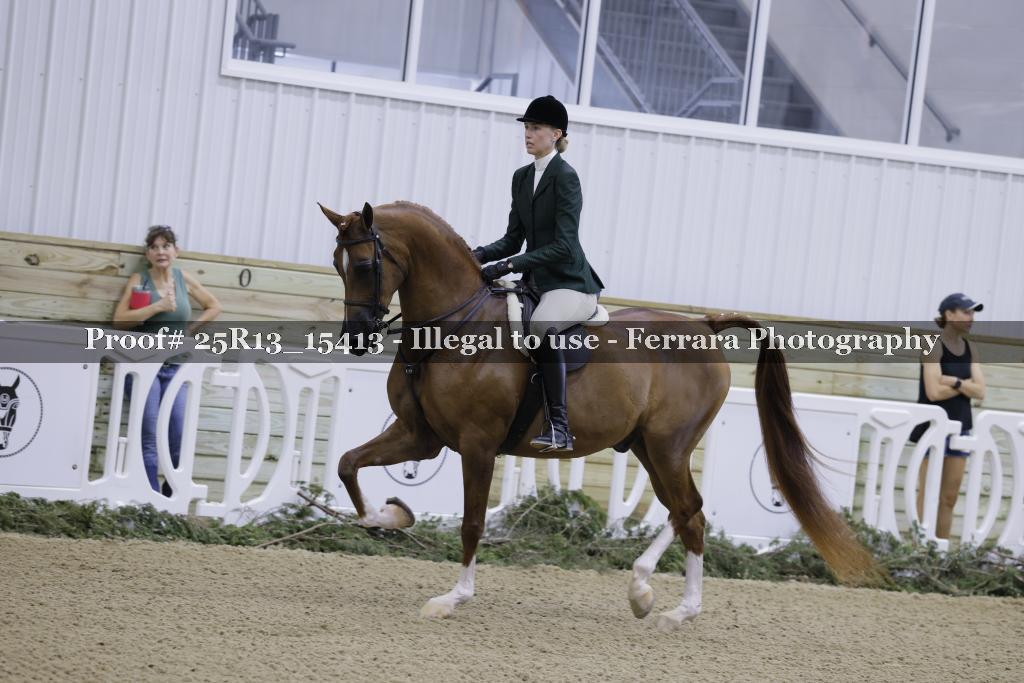 Proof Number 25R13_15413