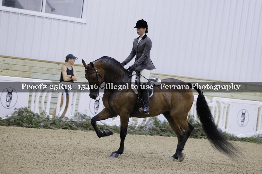 Proof Number 25R13_15416