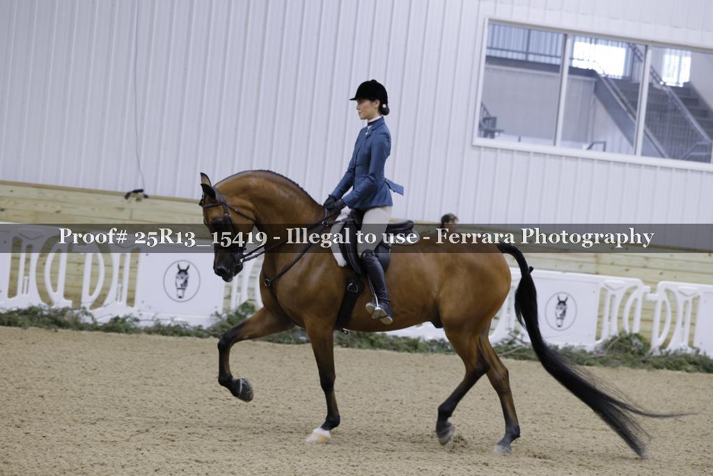 Proof Number 25R13_15419