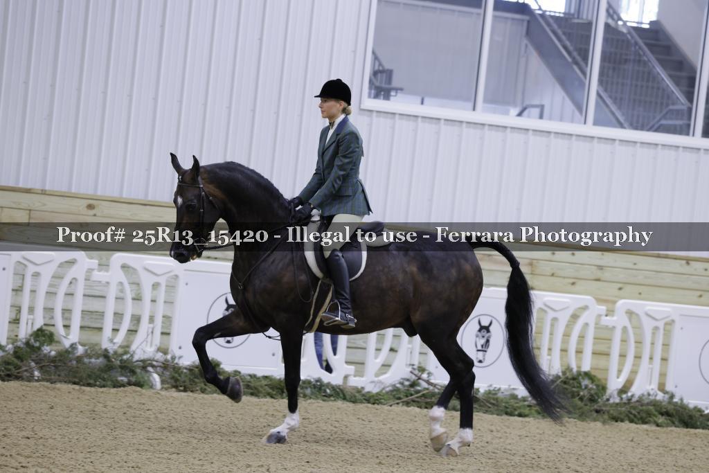 Proof Number 25R13_15420